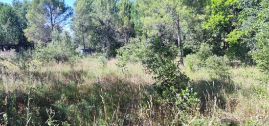 Terrain à bâtir à Néoules, Provence-Alpes-Côte d'Azur