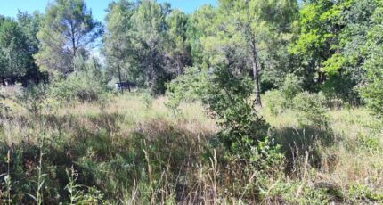 Néoules Maison neuve - 2372985-11039annonce120251219BtMe0.jpeg Maisons France Confort