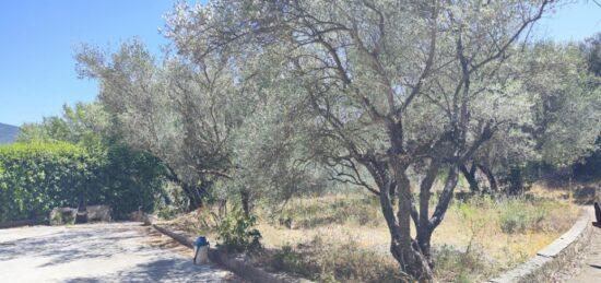 Terrain à bâtir à , Var