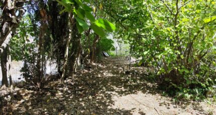 Cuers Maison neuve - 2373064-11039annonce320251219kdI1u.jpeg Maisons France Confort