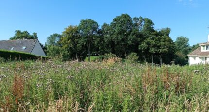 Ingouville Terrain à bâtir - 2309824-11168annonce120251018gNqI8.jpeg Maisons France Confort