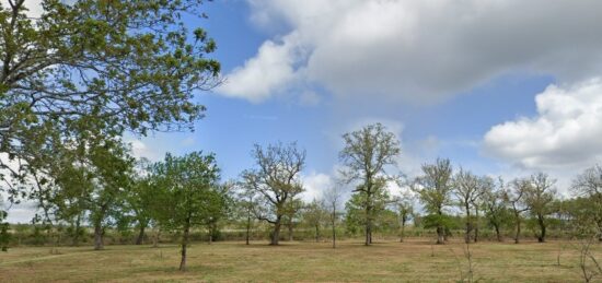 Terrain à bâtir à Saint-Médard-d'Eyrans, Nouvelle-Aquitaine
