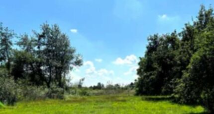 Potelle Maison neuve - 2254659-10617annonce120250829TJ6pq.jpeg Maisons France Confort