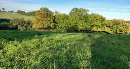 Amboise Maison neuve - 2329936-11681annonce120251106PDOhE.jpeg Maisons France Confort