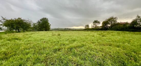 Terrain à bâtir à Polliat, Auvergne-Rhône-Alpes