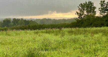 Polliat Terrain à bâtir - 2340718-754annonce220251117h16pG.jpeg Maisons France Confort