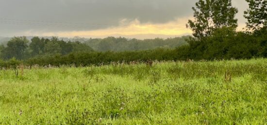 Terrain à bâtir à , Ain