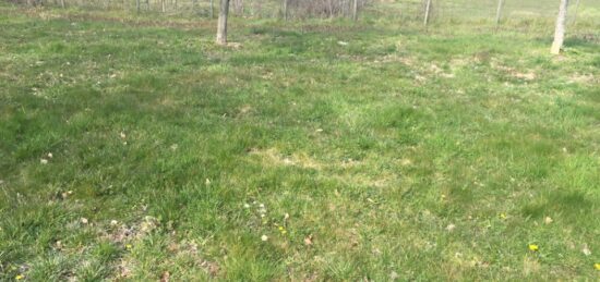 Terrain à bâtir à , Ain