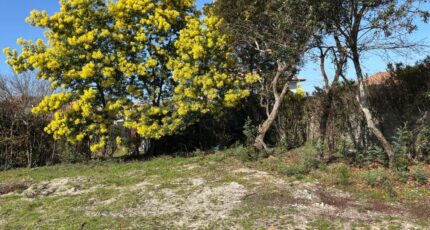 Arès Terrain à bâtir - 2304319-11276annonce120251013cyJBr.jpeg Maisons France Confort