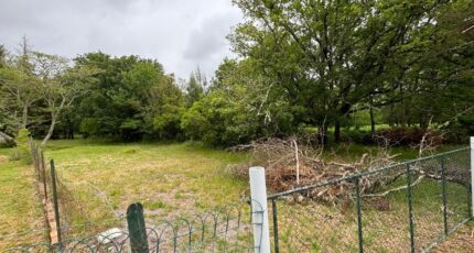 Andernos-les-Bains Maison neuve - 2337701-11276annonce1202511141l1Pz.jpeg Maisons France Confort