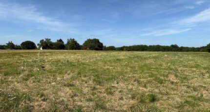 Vacquiers Maison neuve - 2375255-11356annonce120251223s5l5a.jpeg Maisons France Confort