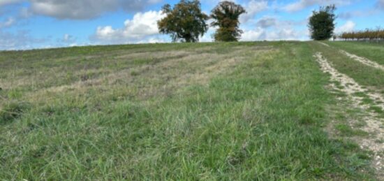 Terrain à bâtir à Villenave-de-Rions, Nouvelle-Aquitaine