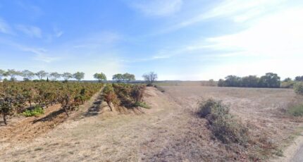 Alignan-du-Vent Terrain à bâtir - 2375610-11018annonce420250903C88A4.jpeg Maisons France Confort