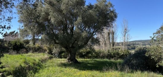 Terrain à bâtir à Puget-Ville, Provence-Alpes-Côte d'Azur