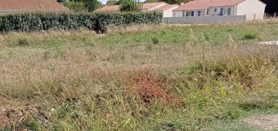Maison neuve à , Charente-Maritime