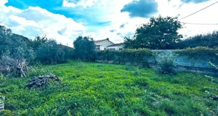 Saint-André-de-Sangonis Terrain à bâtir - 2280269-10896annonce220250923P0PkL.jpeg Maisons France Confort