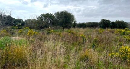 Mèze Maison neuve - 2280454-10896annonce220250923U50Ca.jpeg Maisons France Confort