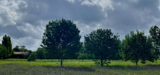 Terrain à bâtir à Mornac-sur-Seudre, Nouvelle-Aquitaine