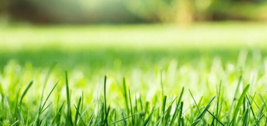 Terrain à bâtir à , Val-de-Marne