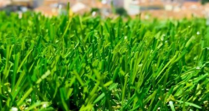 Champigny-sur-Marne Terrain à bâtir - 2376828-5343annonce120251227w75Jd.jpeg Maisons France Confort