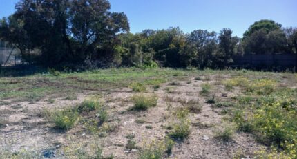 Vic-la-Gardiole Maison neuve - 2318292-11040annonce120251026mLp9R.jpeg Maisons France Confort