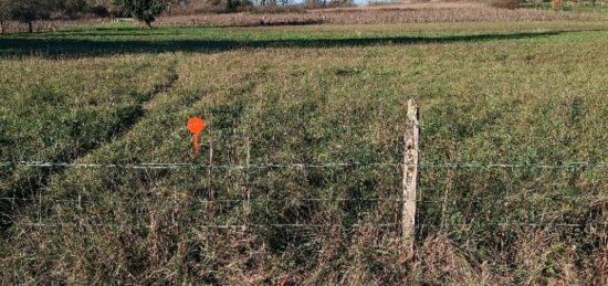 Terrain à bâtir à Peujard, Nouvelle-Aquitaine
