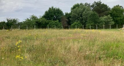 Les Peintures Terrain à bâtir - 2377239-11367annonce120251229KDkIp.jpeg Maisons France Confort