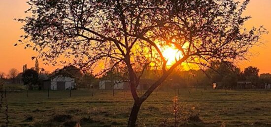 Terrain à bâtir à Sablons, Nouvelle-Aquitaine