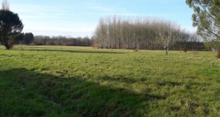 Chenaud Terrain à bâtir - 2377256-11367annonce120251229FmySt.jpeg Maisons France Confort