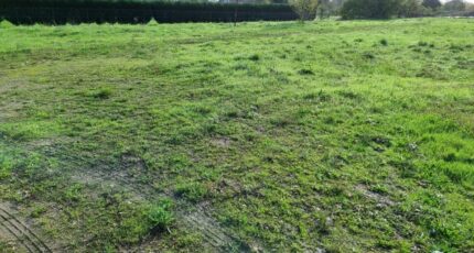 Lamothe-Montravel Maison neuve - 2346626-11687annonce420251122rd3B8.jpeg Maisons France Confort