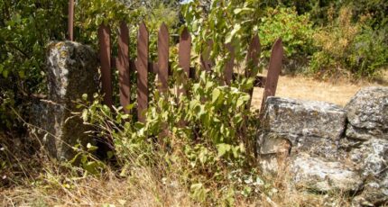 Grillon Maison neuve - 2377973-812annonce320251229SzGk6.jpeg Maisons France Confort