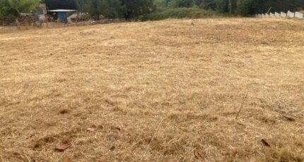 La Roche-Chalais Terrain à bâtir - 2378192-11367annonce120251229FAno6.jpeg Maisons France Confort