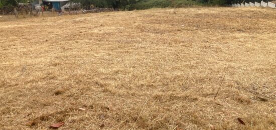 Terrain à bâtir à La Roche-Chalais, Nouvelle-Aquitaine