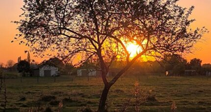 Cubzac-les-Ponts Maison neuve - 2377644-11687annonce220251229UdcA1.jpeg Maisons France Confort