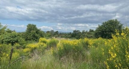 Montéléger Maison neuve - 2378465-812annonce420250530IxXQz.jpeg Maisons France Confort