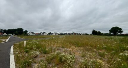 Renescure Maison neuve - 2377733-11655annonce120251229tIGz1.jpeg Maisons France Confort