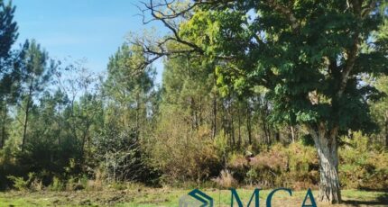 Hourtin Maison neuve - 2378704-3957annonce1202512296KNpF.jpeg Maisons France Confort