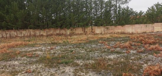 Terrain à bâtir à Biscarrosse, Nouvelle-Aquitaine