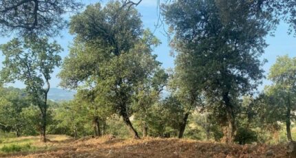 Mondragon Maison neuve - 2378847-812annonce120251230Dig2G.jpeg Maisons France Confort