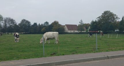 La Rue-Saint-Pierre Maison neuve - 2378795-1887annonce220251230xnRbT.jpeg Maisons France Confort