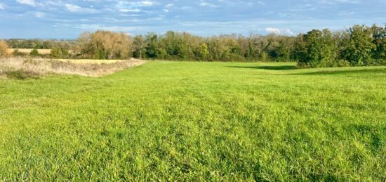 Terrain à bâtir à Jayat, Auvergne-Rhône-Alpes