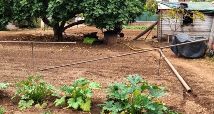 La Valette-du-Var Maison neuve - 2379327-11079annonce420250901hGcry.jpeg Maisons France Confort