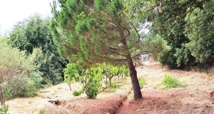 Collobrières Maison neuve - 2379320-11079annonce120250908bpOTB.jpeg Maisons France Confort