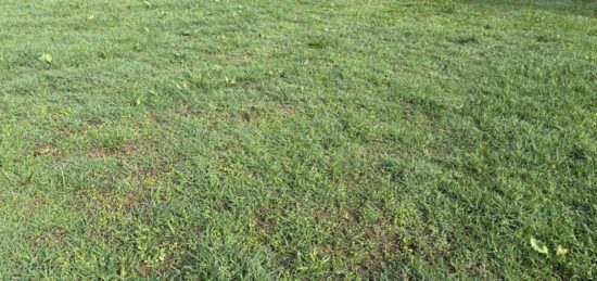 Terrain à bâtir à Aucamville, Occitanie