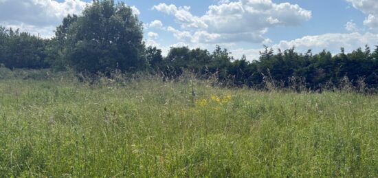 Terrain à bâtir à , Tarn-et-Garonne