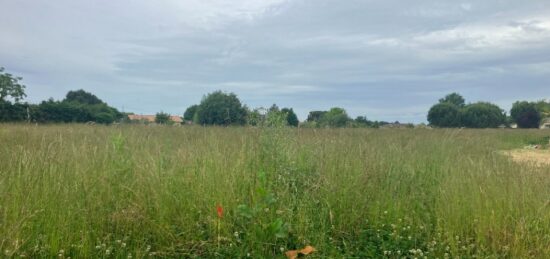 Terrain à bâtir à Meilhan-sur-Garonne, Nouvelle-Aquitaine