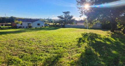 Albi Terrain à bâtir - 2304338-11178annonce320251013TxWzt.jpeg Maisons France Confort