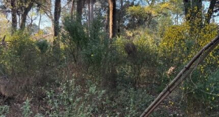 Saint-Brevin-les-Pins Maison neuve - 2304827-11110annonce220260112OyQS3.jpeg Maisons France Confort