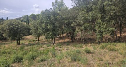 Taradeau Terrain à bâtir - 2305292-5163annonce220251014xe9FN.jpeg Maisons France Confort