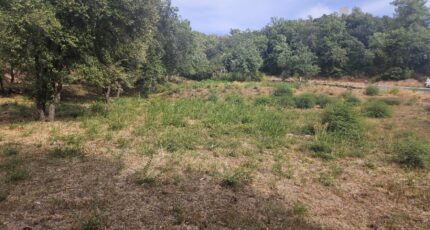 Taradeau Terrain à bâtir - 2305292-5163annonce32025101439eU0.jpeg Maisons France Confort